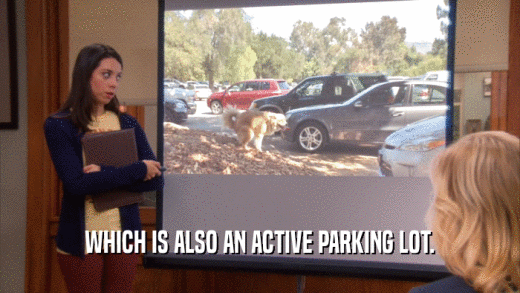 WHICH IS ALSO AN ACTIVE PARKING LOT.  