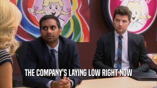 THE COMPANY'S LAYING LOW RIGHT NOW  