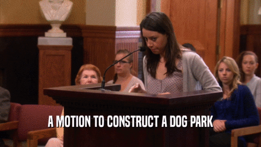 A MOTION TO CONSTRUCT A DOG PARK  