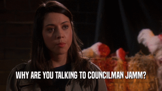 WHY ARE YOU TALKING TO COUNCILMAN JAMM?  