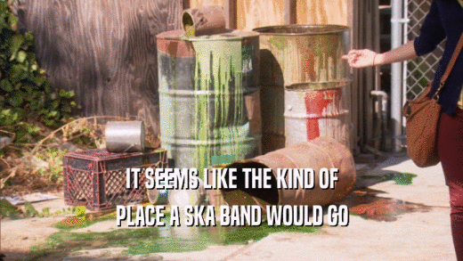 IT SEEMS LIKE THE KIND OF PLACE A SKA BAND WOULD GO 