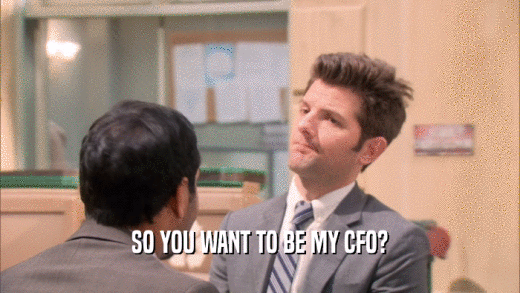 SO YOU WANT TO BE MY CFO?  