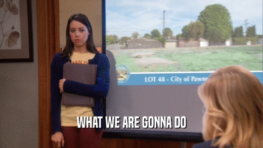 WHAT WE ARE GONNA DO  