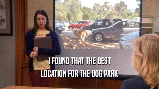 I FOUND THAT THE BEST LOCATION FOR THE DOG PARK 