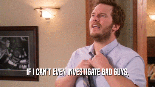 IF I CAN'T EVEN INVESTIGATE BAD GUYS,  