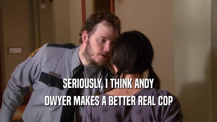 SERIOUSLY, I THINK ANDY DWYER MAKES A BETTER REAL COP 