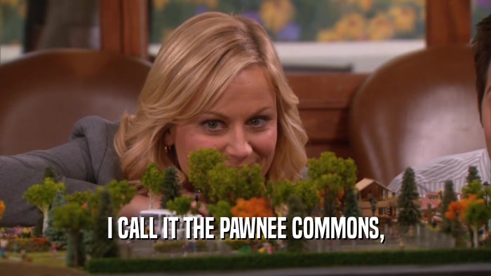 I CALL IT THE PAWNEE COMMONS,  