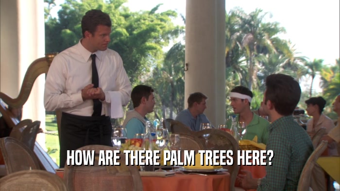 HOW ARE THERE PALM TREES HERE?  