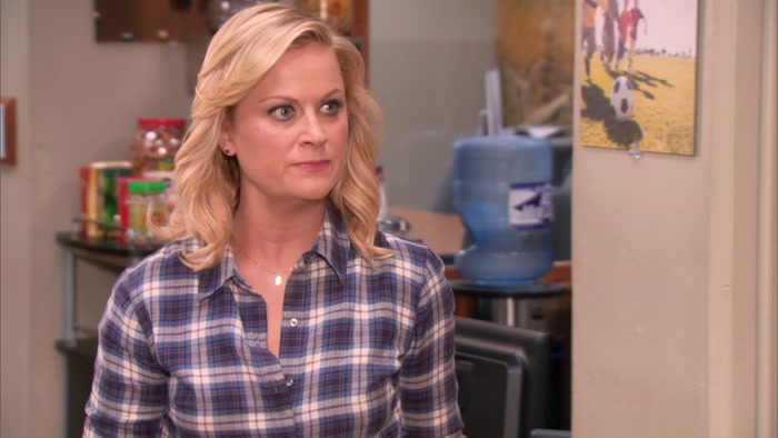 LESLIE, WE CAN'T DO THAT.  