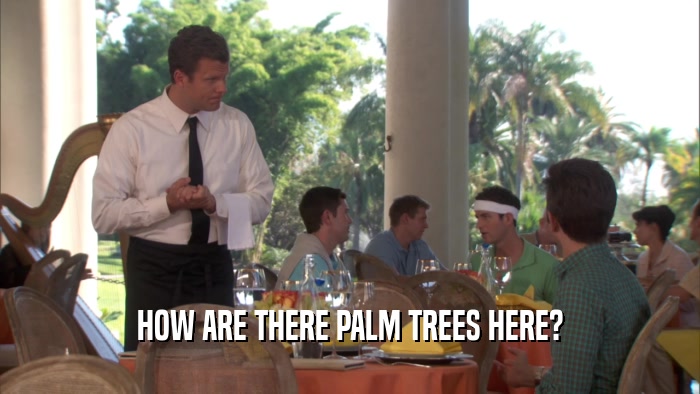 HOW ARE THERE PALM TREES HERE?  