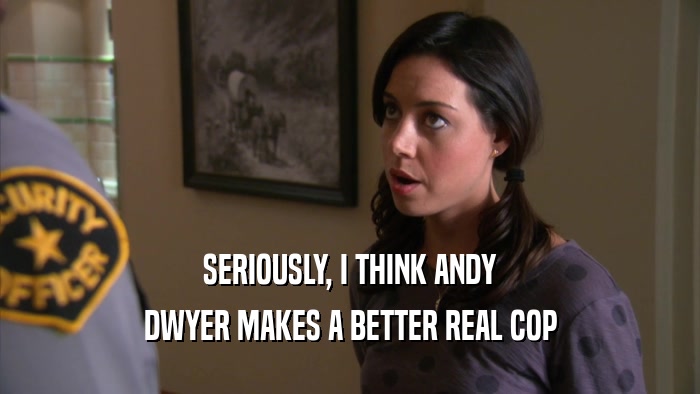 SERIOUSLY, I THINK ANDY DWYER MAKES A BETTER REAL COP 