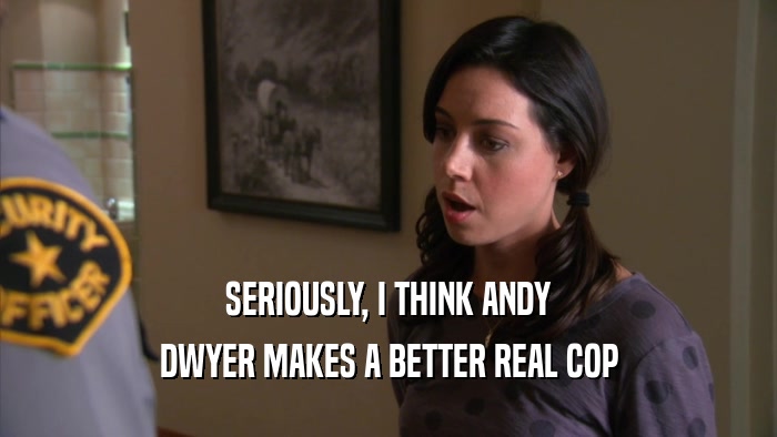 SERIOUSLY, I THINK ANDY DWYER MAKES A BETTER REAL COP 