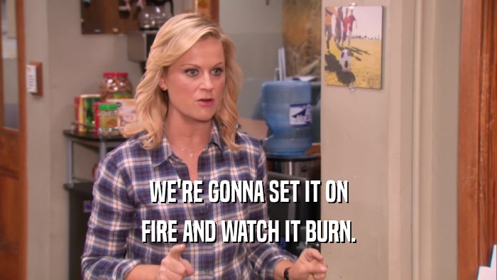 WE'RE GONNA SET IT ON FIRE AND WATCH IT BURN. 
