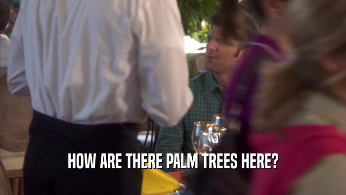 HOW ARE THERE PALM TREES HERE?  