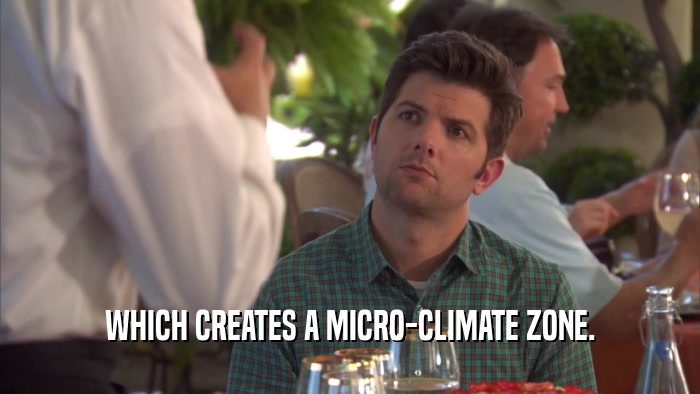 WHICH CREATES A MICRO-CLIMATE ZONE.  