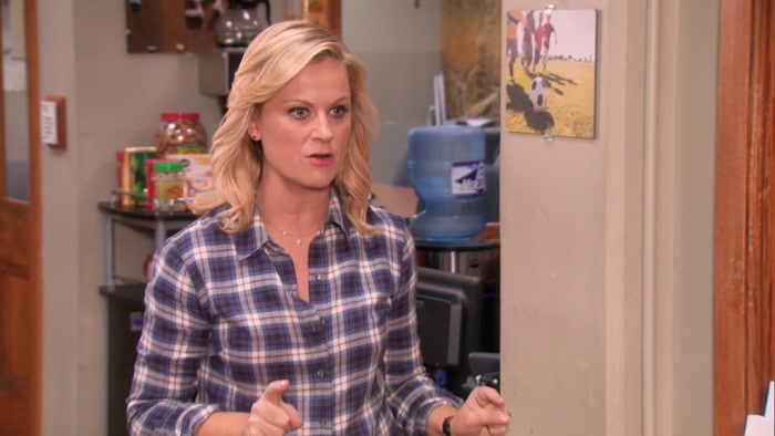LESLIE, WE CAN'T DO THAT.  