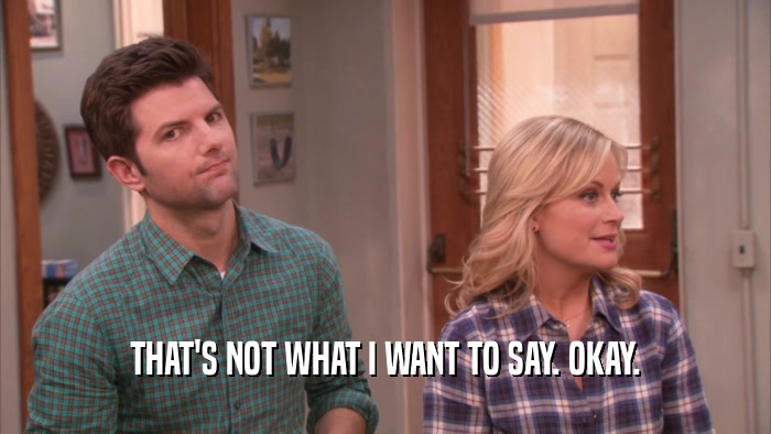 THAT'S NOT WHAT I WANT TO SAY. OKAY.  