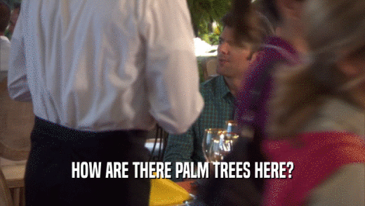 HOW ARE THERE PALM TREES HERE?  
