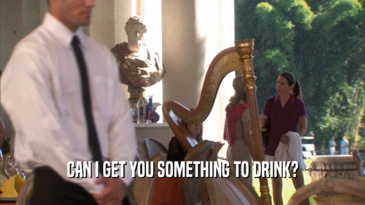 CAN I GET YOU SOMETHING TO DRINK?  