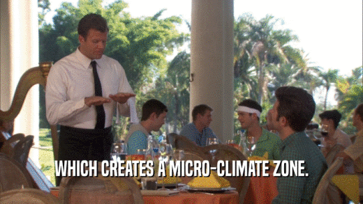 WHICH CREATES A MICRO-CLIMATE ZONE.  