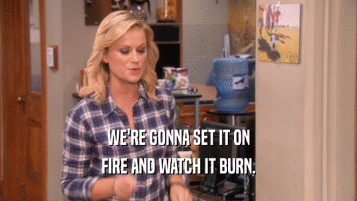 WE'RE GONNA SET IT ON FIRE AND WATCH IT BURN. 