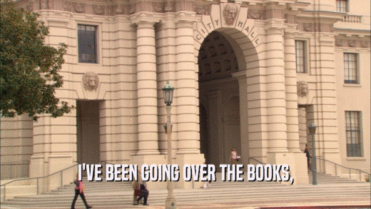 I'VE BEEN GOING OVER THE BOOKS,  