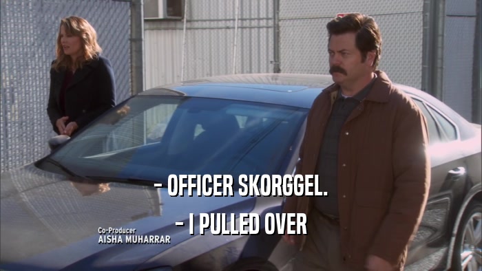 - OFFICER SKORGGEL. - I PULLED OVER 