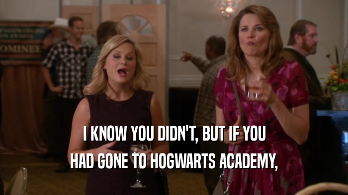 I KNOW YOU DIDN'T, BUT IF YOU
 HAD GONE TO HOGWARTS ACADEMY,
 