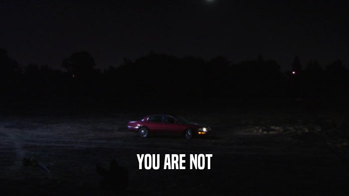YOU ARE NOT  