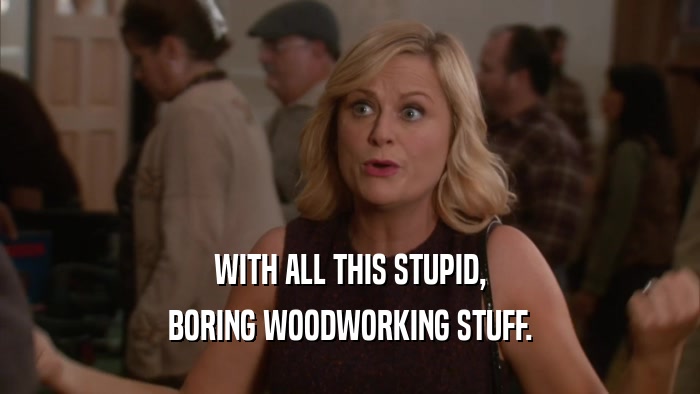 WITH ALL THIS STUPID, BORING WOODWORKING STUFF. 