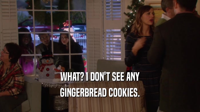 WHAT? I DON'T SEE ANY GINGERBREAD COOKIES. 