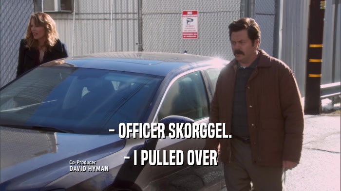 - OFFICER SKORGGEL. - I PULLED OVER 