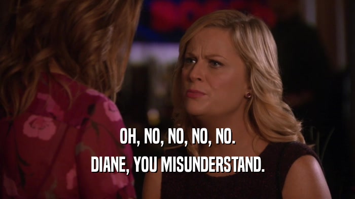 OH, NO, NO, NO, NO. DIANE, YOU MISUNDERSTAND. 