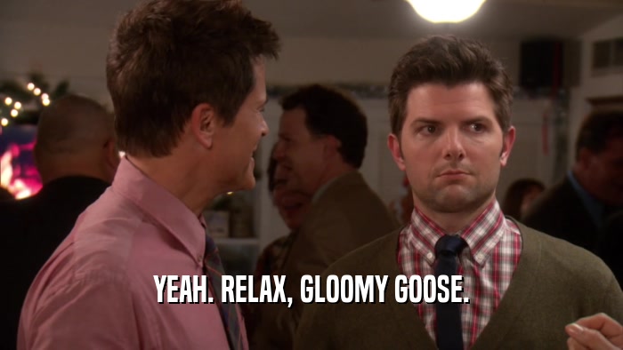 YEAH. RELAX, GLOOMY GOOSE.  