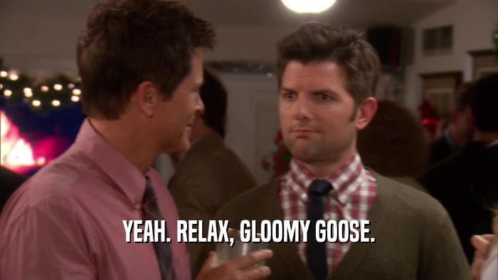 YEAH. RELAX, GLOOMY GOOSE.  