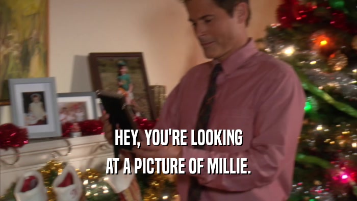 HEY, YOU'RE LOOKING AT A PICTURE OF MILLIE. 