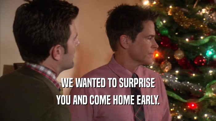 WE WANTED TO SURPRISE YOU AND COME HOME EARLY. 