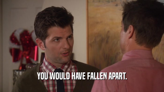YOU WOULD HAVE FALLEN APART.  
