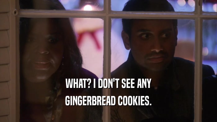 WHAT? I DON'T SEE ANY GINGERBREAD COOKIES. 