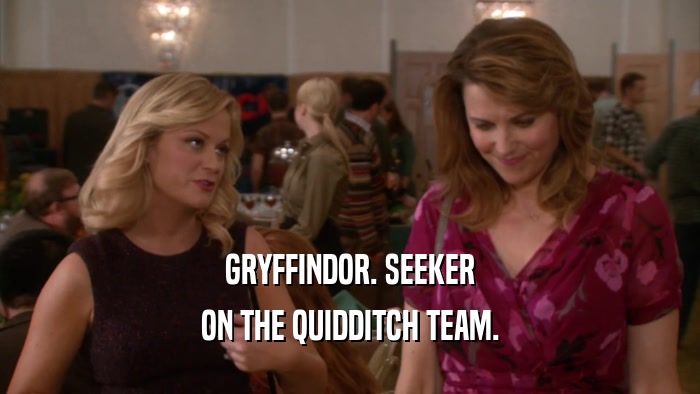 GRYFFINDOR. SEEKER ON THE QUIDDITCH TEAM. 