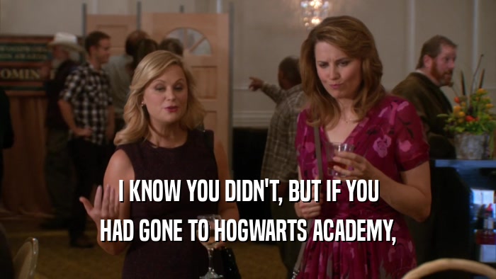 I KNOW YOU DIDN'T, BUT IF YOU
 HAD GONE TO HOGWARTS ACADEMY,
 