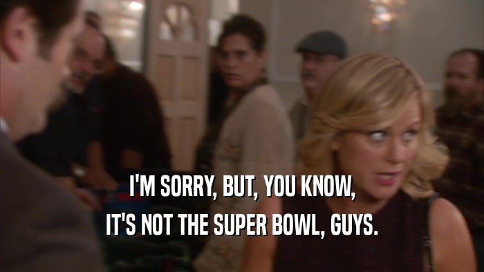 I'M SORRY, BUT, YOU KNOW, IT'S NOT THE SUPER BOWL, GUYS. 