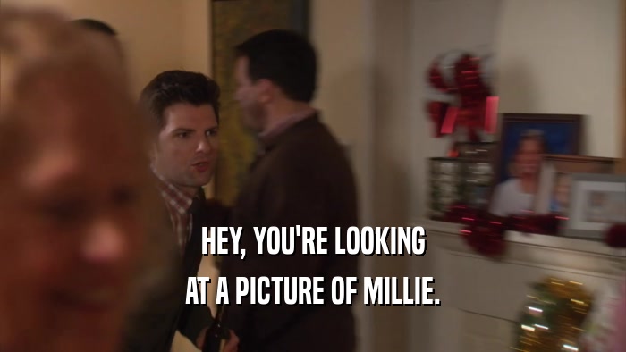 HEY, YOU'RE LOOKING AT A PICTURE OF MILLIE. 