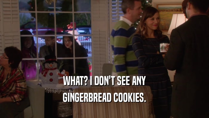 WHAT? I DON'T SEE ANY GINGERBREAD COOKIES. 