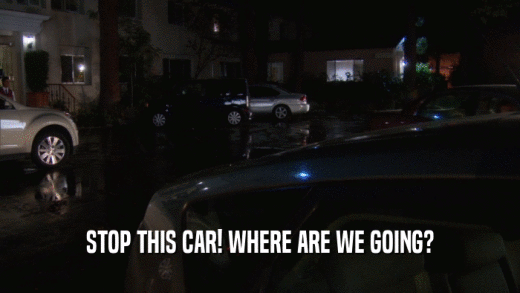 STOP THIS CAR! WHERE ARE WE GOING?  