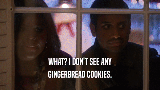 WHAT? I DON'T SEE ANY GINGERBREAD COOKIES. 