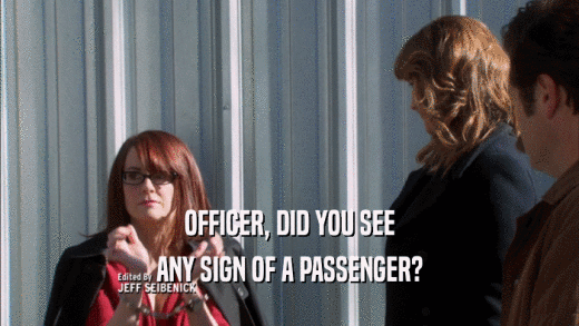 OFFICER, DID YOU SEE
 ANY SIGN OF A PASSENGER?
 