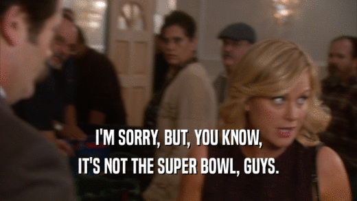 I'M SORRY, BUT, YOU KNOW, IT'S NOT THE SUPER BOWL, GUYS. 