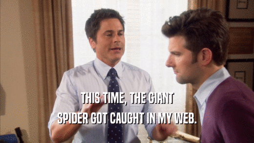 THIS TIME, THE GIANT SPIDER GOT CAUGHT IN MY WEB. 