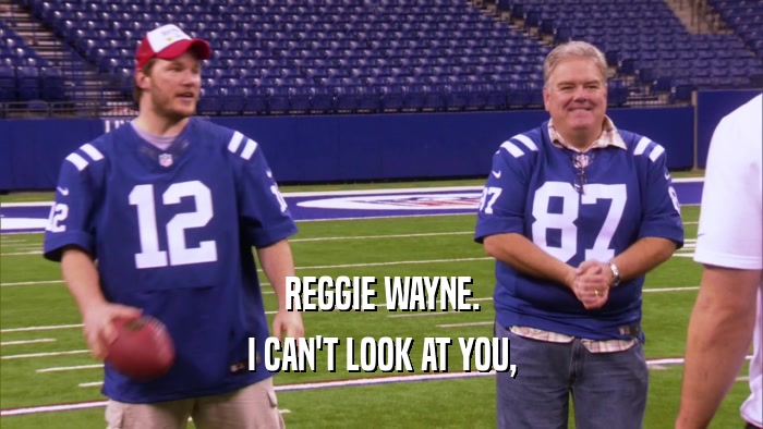 REGGIE WAYNE. I CAN'T LOOK AT YOU, 